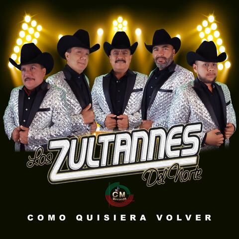 Como Quisiera Volver