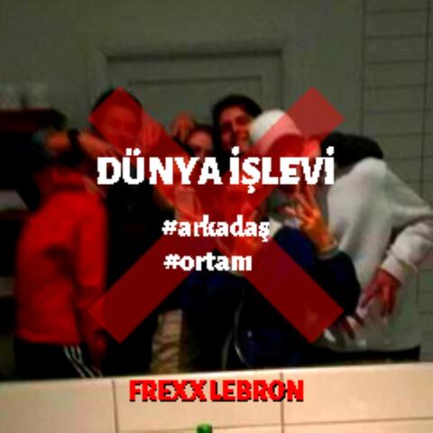 Dünya İşlevi