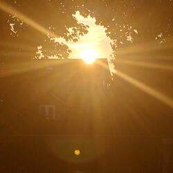 And As Summer Softly Dies