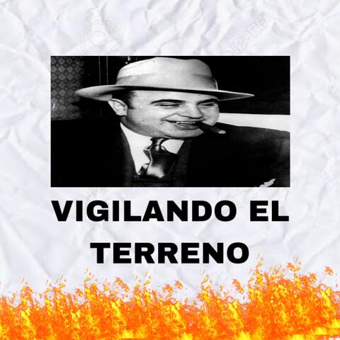 Vigilando el terreno