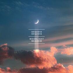 Moonlight Meadow