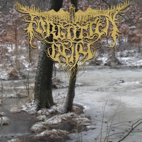 Frozen Forest