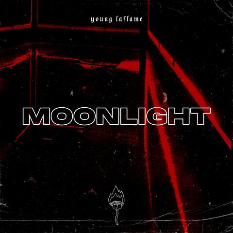 ＭＯＯＮＬＩＧＨＴ