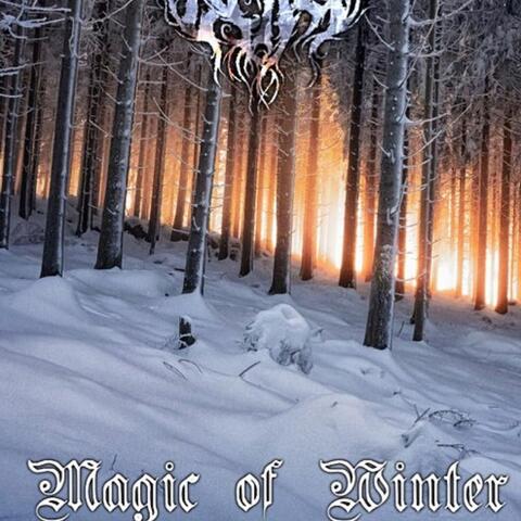 Magic of Winter