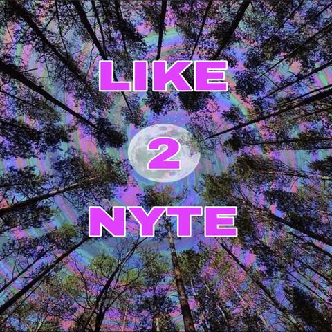 Like 2 Nyte