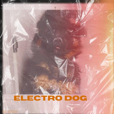 Electro Dog