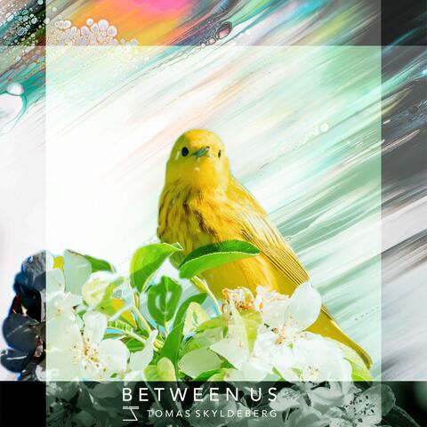 Between Us