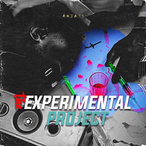The EXPERIMENTAL PROJECT