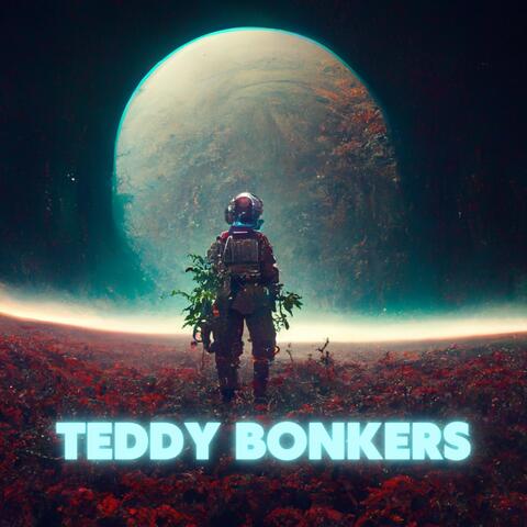 TEDDY BONKERS
