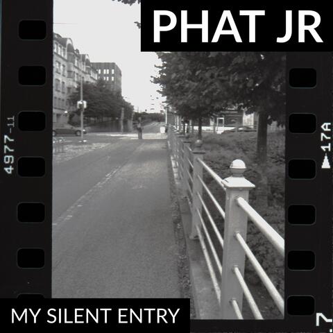 My Silent Entry