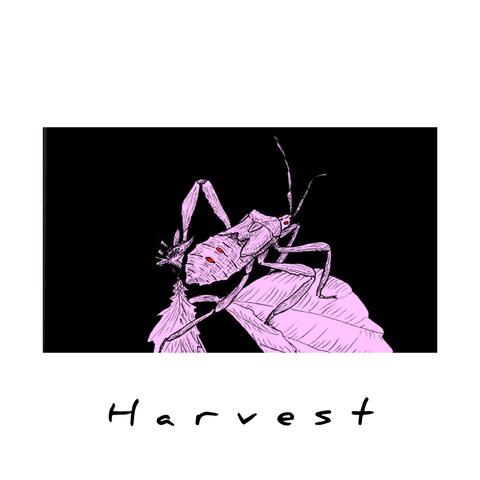 Harvest