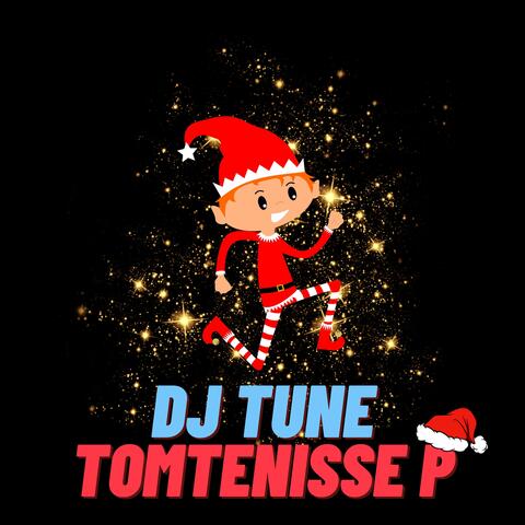 Tomtenisse P