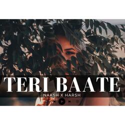 Teri Baate