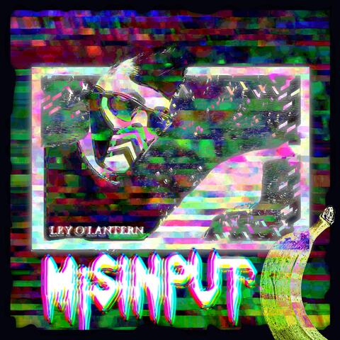 MISINPUT