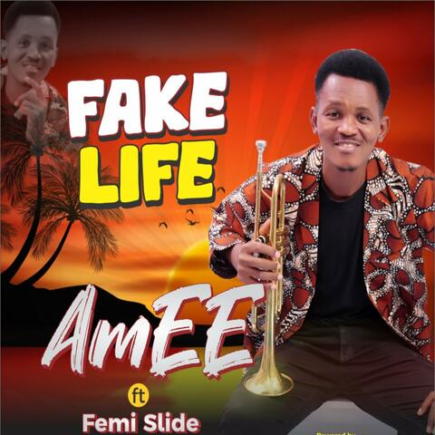 FAKE LIFE
