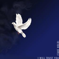 I Will Trust You (Take Hold)