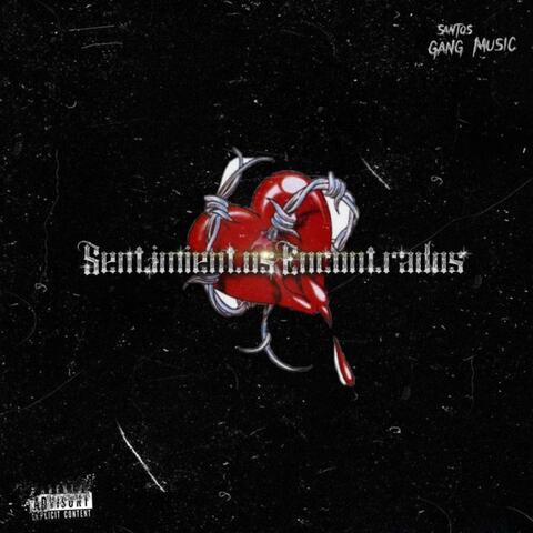 Sentimientos Encontrados