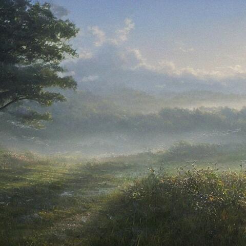 Misty Mornings