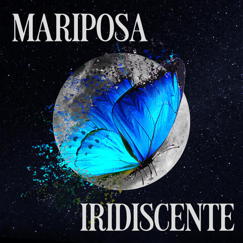 Mariposa Iridiscente