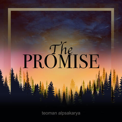 The PROMISE