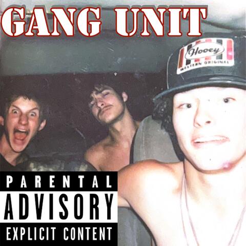 Gang Unit