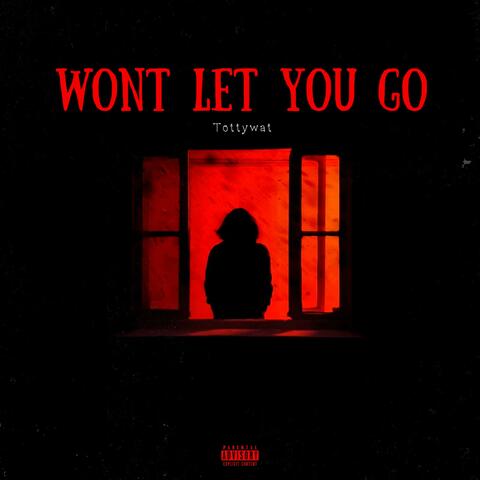 Won't Let You Go