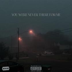 you were never there for me