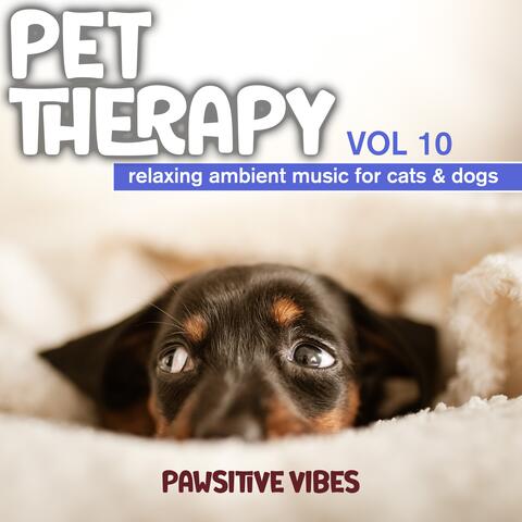 Pet Therapy, Vol. 10 - Relaxing Ambient Music for Cats & Dogs