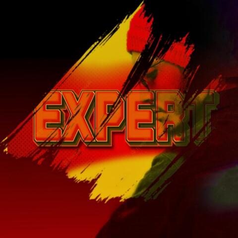 Expert