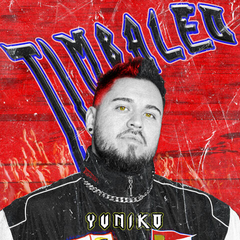 Timbaleo