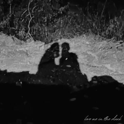 love me in the dark