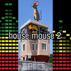 house mouse 2