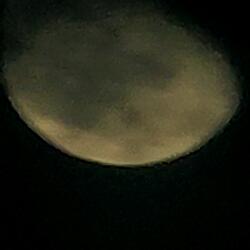 Listen Here Freestyle