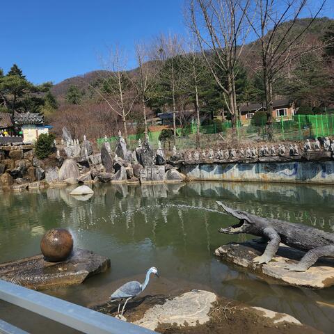 salamander pond