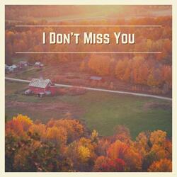 I Don't Miss You