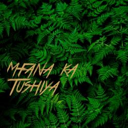 Mfana ka Tushiya