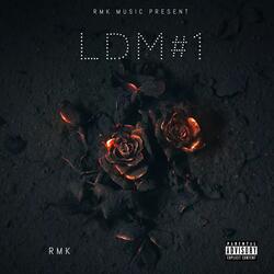 LDM#1