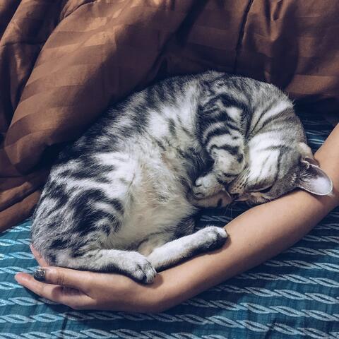 Sleepy Time