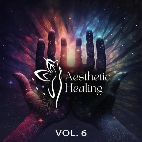 Aesthetic Healing, Vol. 6