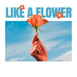 Like a flower