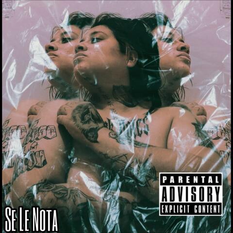Se le nota