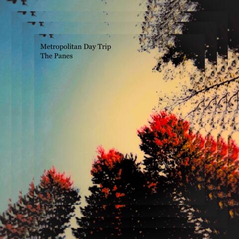Metropolitan Day Trip