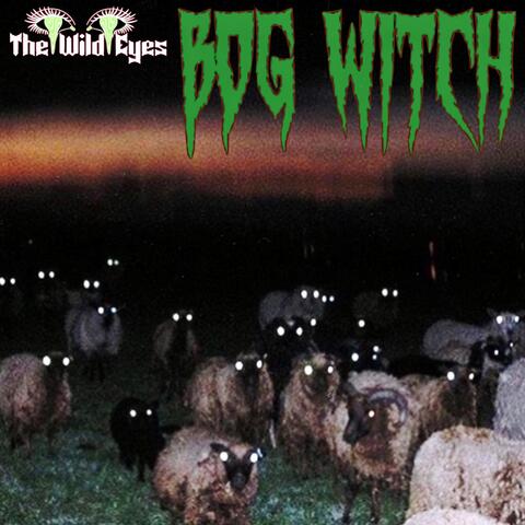 Bog Witch
