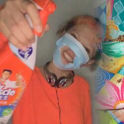 a series of questions was raised by a pig with dyed hair