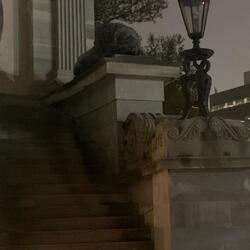 seasonal depression here i come