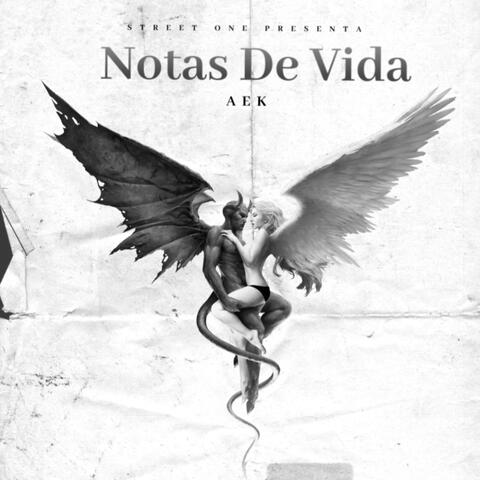 Notas De Vida
