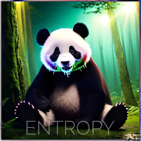 ENTROPY