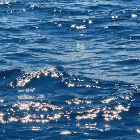 Vague de Chaleur