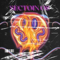 Sectoin 08