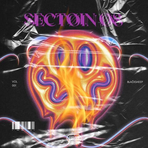 Sectoin 08